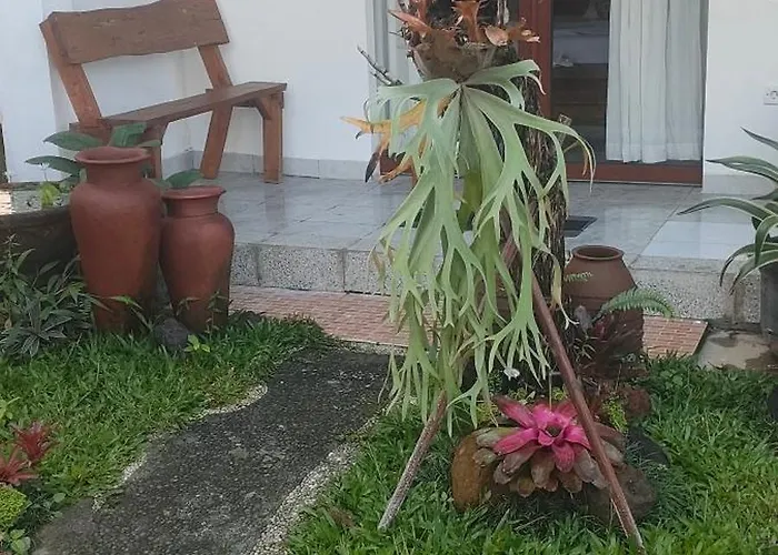 Budha Bima
